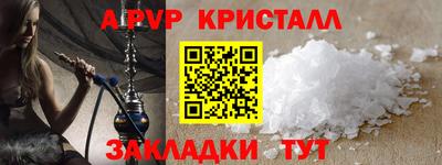 твердый Кингисепп