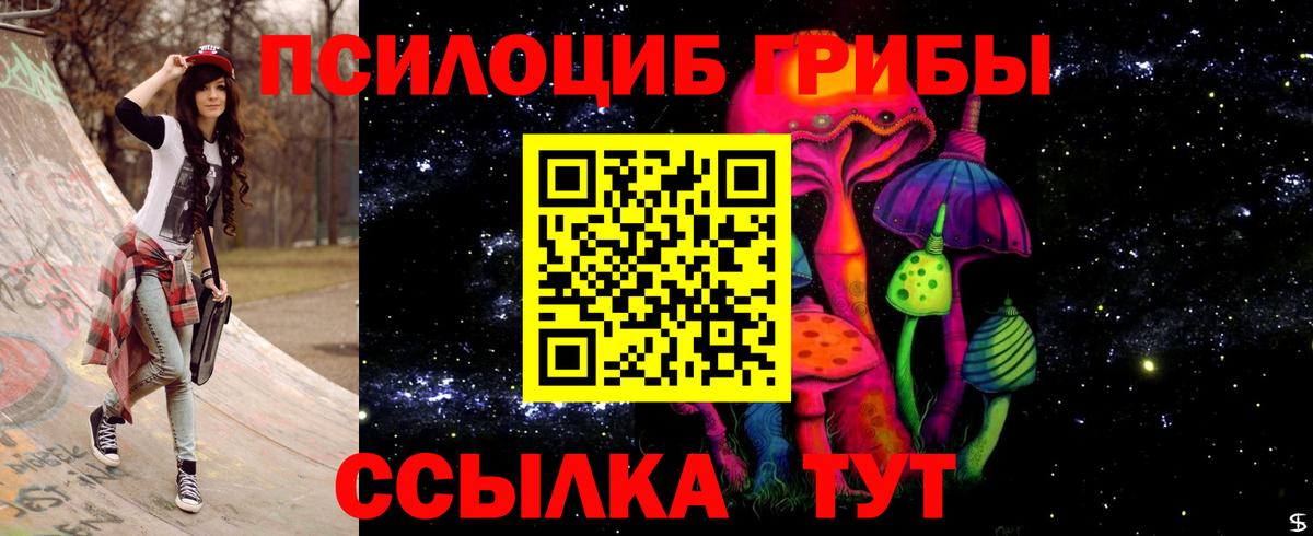 Галлюциногенные грибы прущие грибы  Вход с VPN  Верхняя Салда 